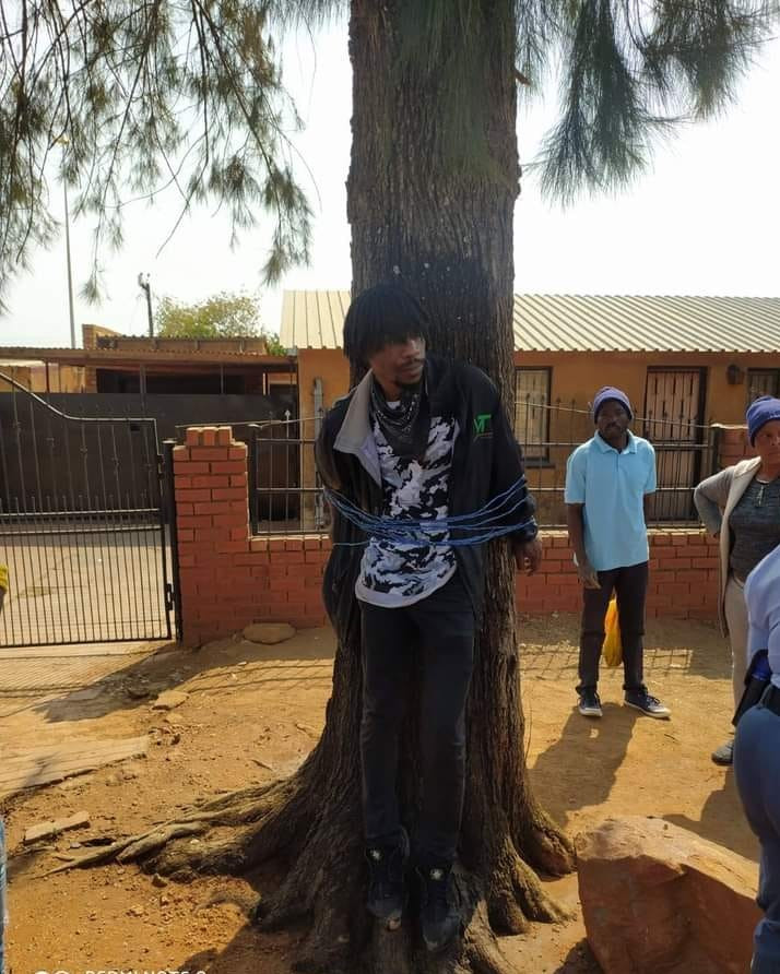 Man gets beaten and tied to a tree for reportedly stealing money from his grandmother – South Africa |MarvelTvUpdates