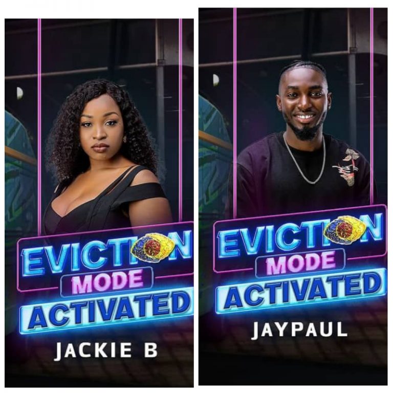 BBNAIJA S6: How Viewers Voted For Their Favourite Housemates | MarvelTvUpdates