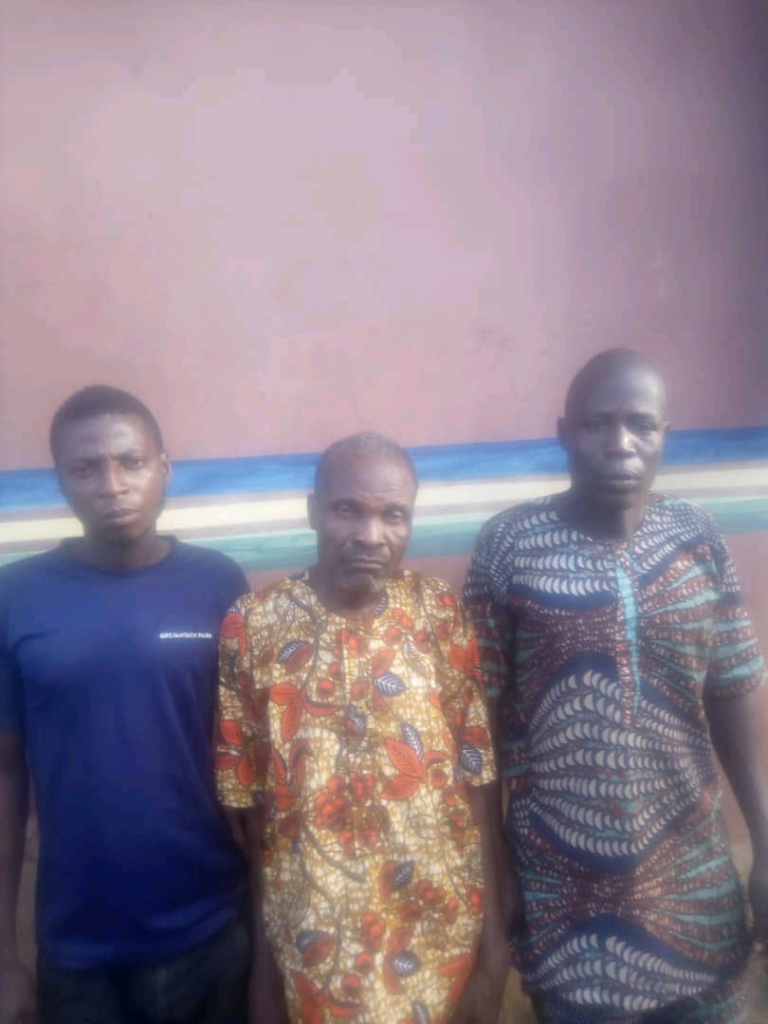 Three Arrested While Digging Out Corpse For Ritual Purposes In Ogun | Marveltvupdates