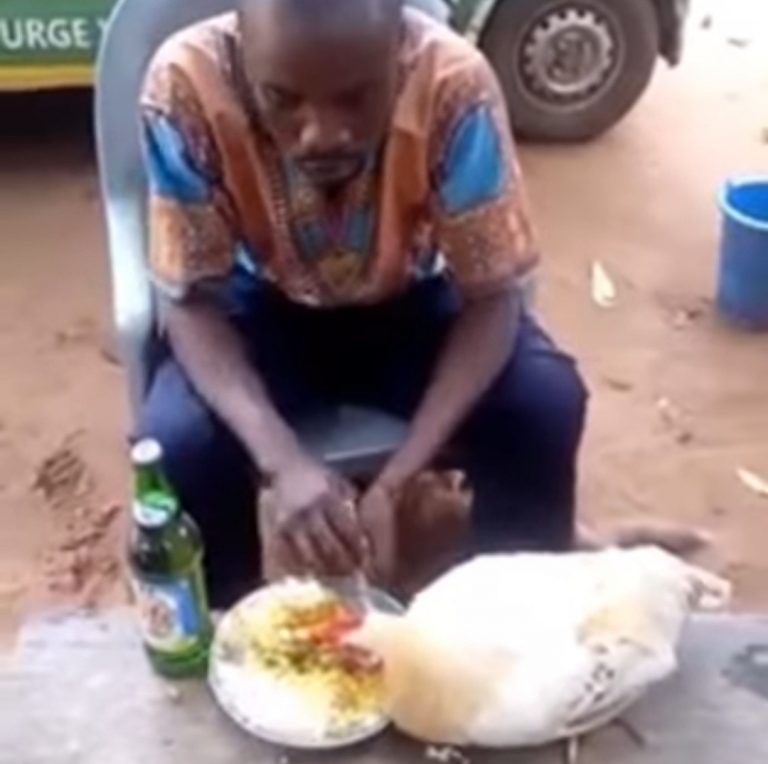 [VIDEO]: Nigerian Man Eats From The Same Plate With A Hen | MarvelTvUpdates