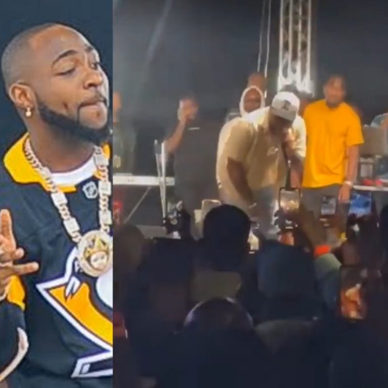 [VIDEO]: Davido Lashes Out At A Fan Who Came To His Bayelsa Concert With A Dog | MarvelTvUpdates