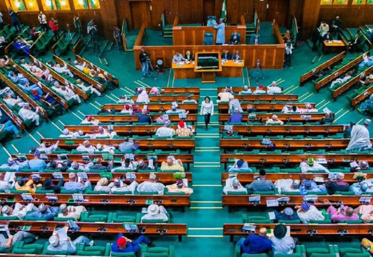 Twitter Ban: House Of Reps Minority Slam FG On Twitter Ban, Say FG Has No Right To Regulate Freedom Of Opinion | MarvelTvUpdates