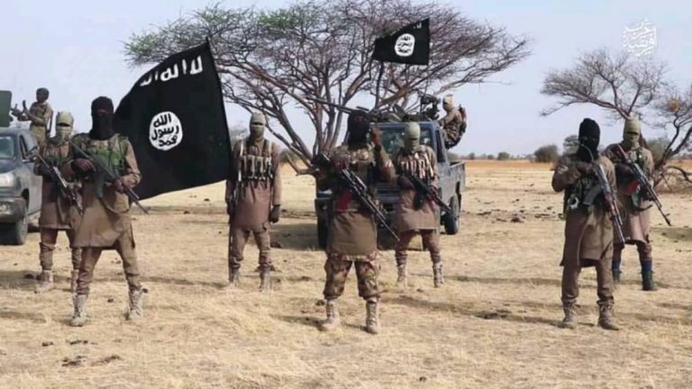 Boko Haram Reportedly Abducts 17 girls in Chibok Community | MarvelTvUpdates