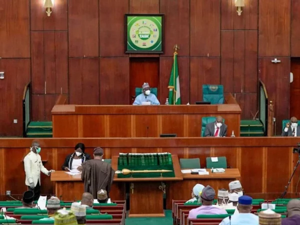 JUST IN: Reps Asks Buhari To Declare National Emergency Over Ritual Killings | MarvelTvUpdates