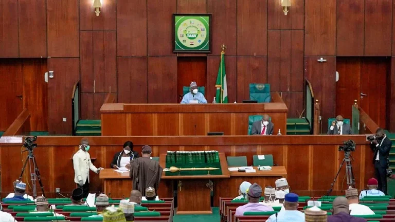 JUST IN: Reps Asks Buhari To Declare National Emergency Over Ritual Killings | MarvelTvUpdates