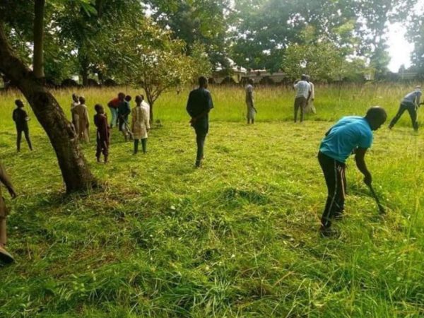 Christians Assists Muslims Clear Grass Ahead Of Sallah In Kaduna | MarvelTvUpdates