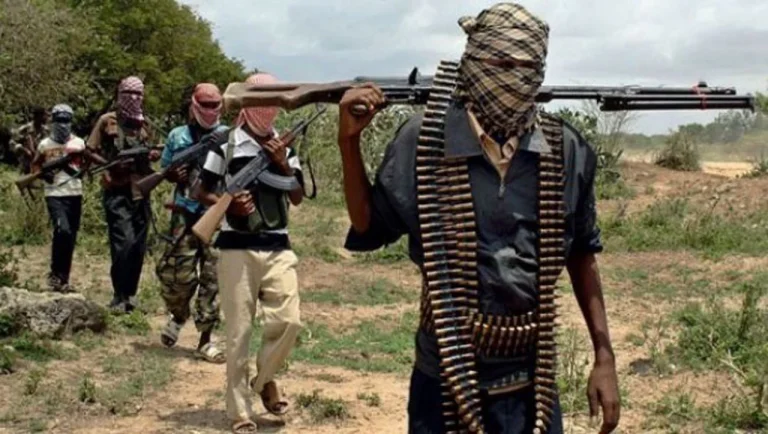 SHOCKING: Islamic Terrorists Who Kidnapped Abuja-Kaduna Train Passengers Vow To Destroy Nigeria (VIDEO) | MarvelTvUpdates