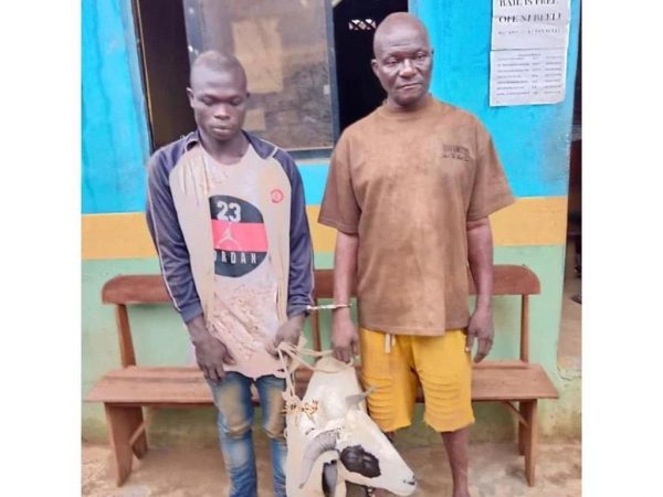 Two Men Arrested For Stealing Sallah Ram In Ogun State | MarvelTvUpdates