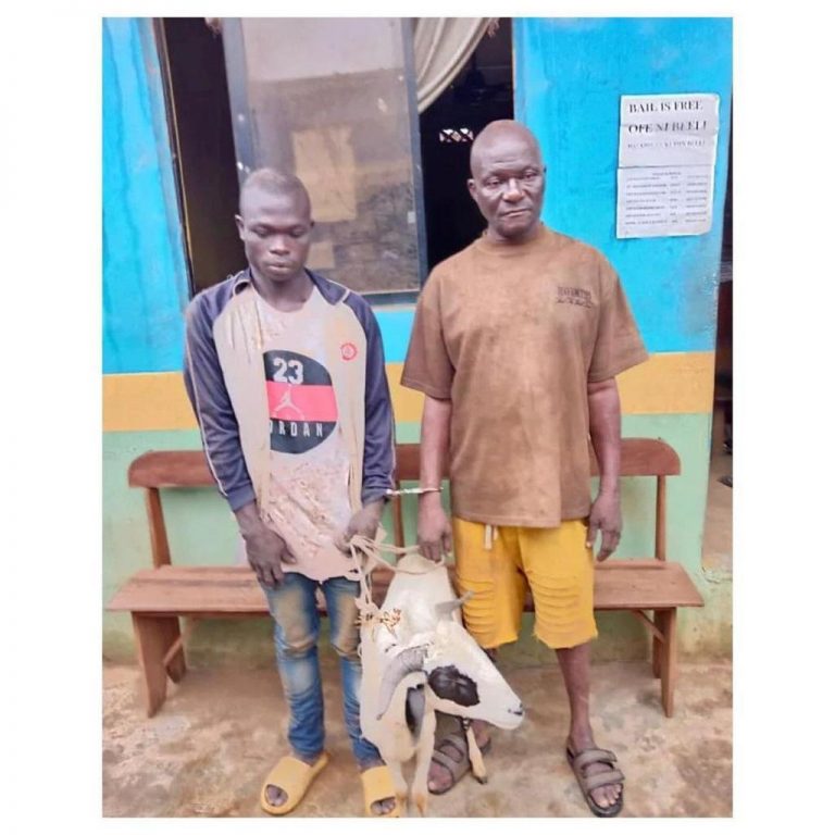 Two Men Arrested For Stealing Sallah Ram In Ogun State | MarvelTvUpdates