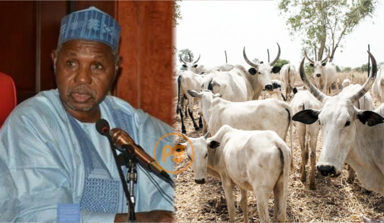 JUST-IN: Federal Government Releases N6.3 Billion For Establishment Of Cattle Ranch In Katsina | MarvelTvUpdates