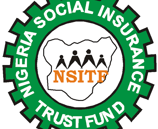 SHOCKING: Termites Allegedly Consume Up N17.128B Expenditure Evidence At NSITF | MarvelTvUpdates