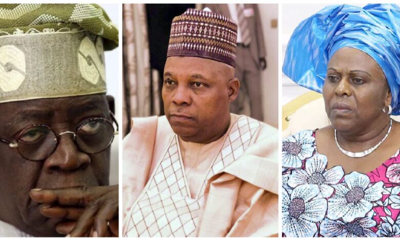 2023: They Are Plotting To Get Rid Of Tinubu, And Make Shettima President – Awolowo’s Daughter Laments | MarvelTvUpdates