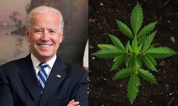 US President, Joe Biden Pardons Anyone Convicted Of Federal Marijuana Possession | MarvelTvUpdates