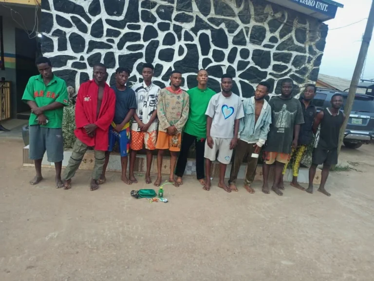 Eleven Suspected Cultists Arrested In Ogun | MarvelTvUpdates