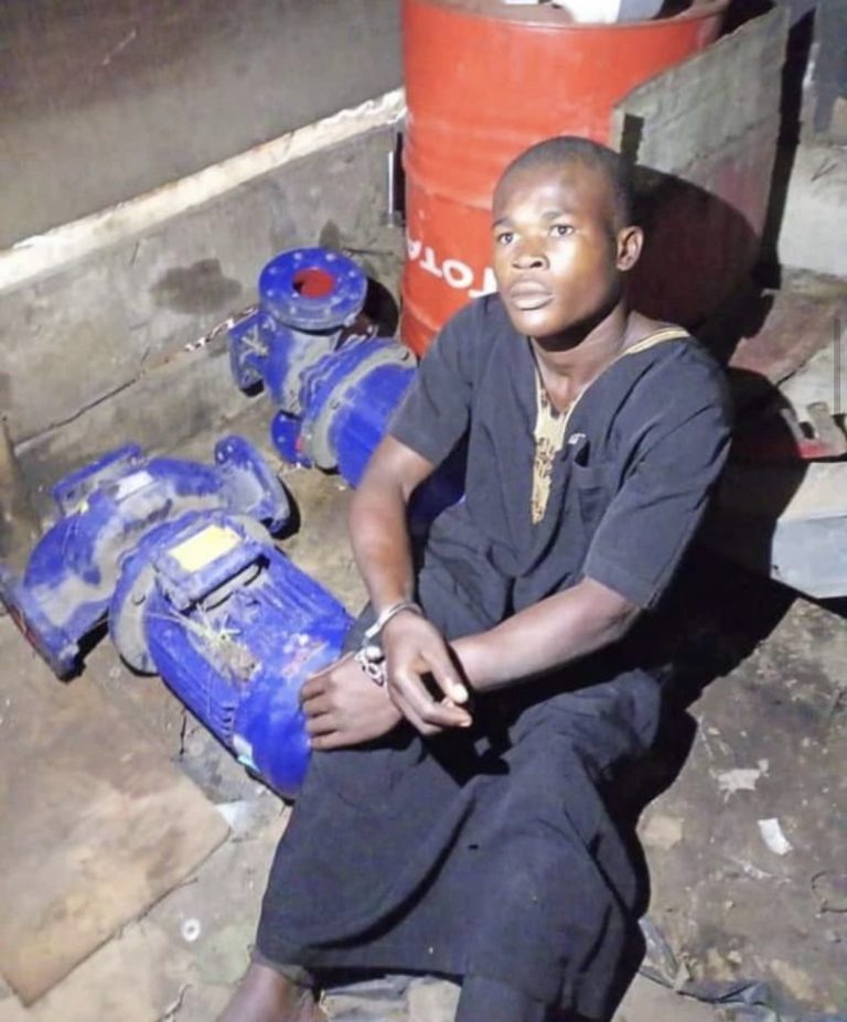 SO-SAFE Corps Arrests Man For Robbery, Recover Stolen Items In Ogun | MarvelTvUpdates