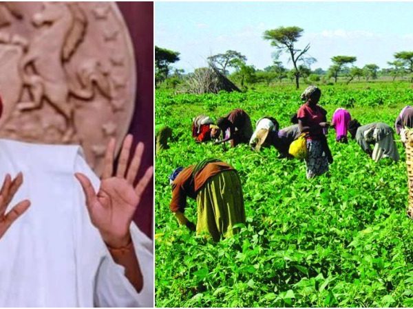 Nigerians Shouldn’t Complain Of Hunger, There’s Land, Rain For Farming – President Buhari | MarvelTvUpdates