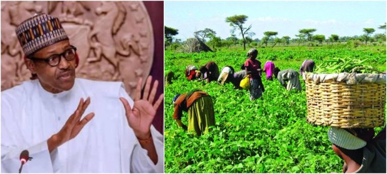 Nigerians Shouldn’t Complain Of Hunger, There’s Land, Rain For Farming – President Buhari | MarvelTvUpdates