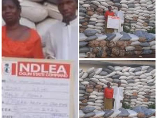 NDLEA Arrests Couple With 273 Bags Of Cannabis In Ogun (PHOTOS) | MarvelTvUpdates