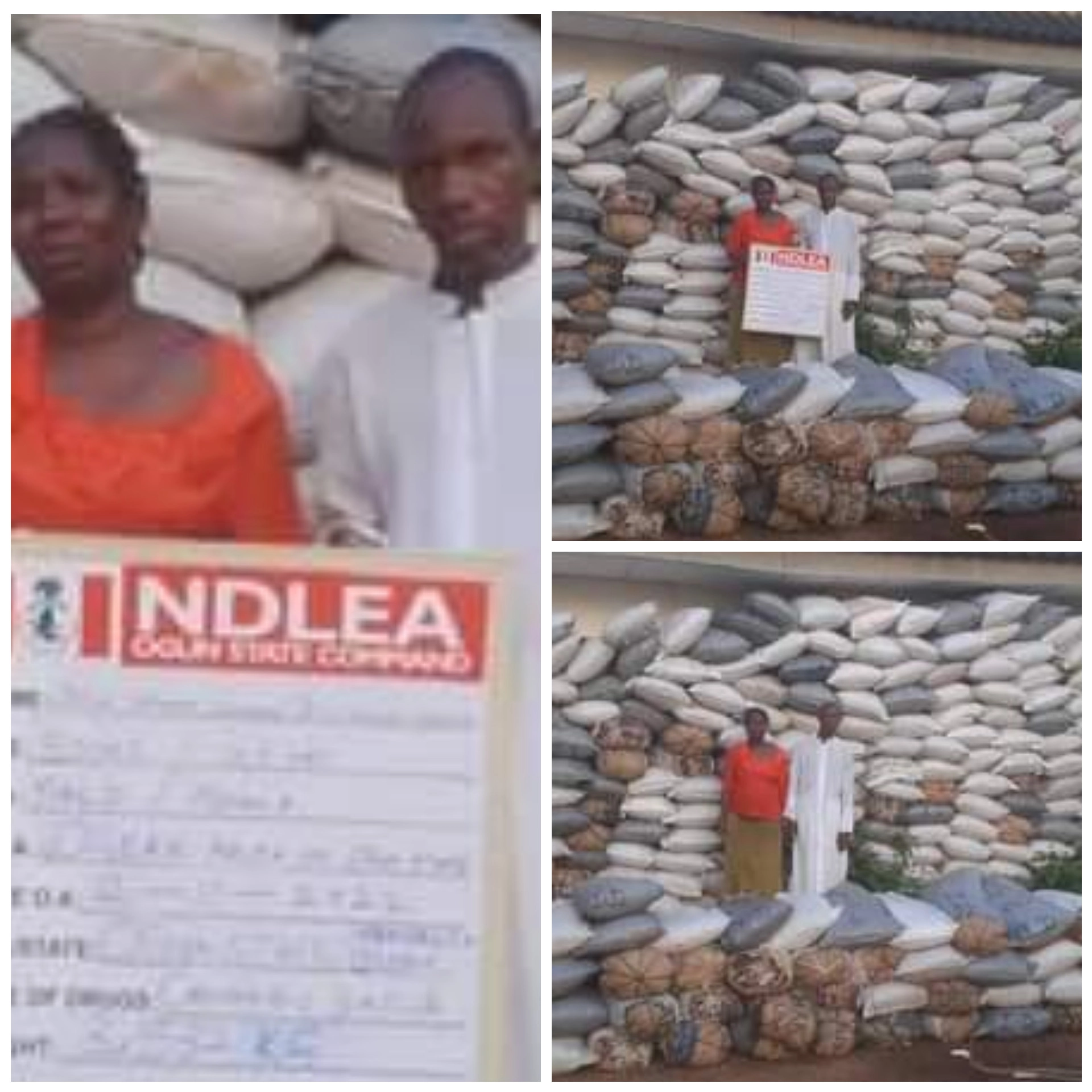 NDLEA Arrests Couple With 273 Bags Of Cannabis In Ogun (PHOTOS) | MarvelTvUpdates