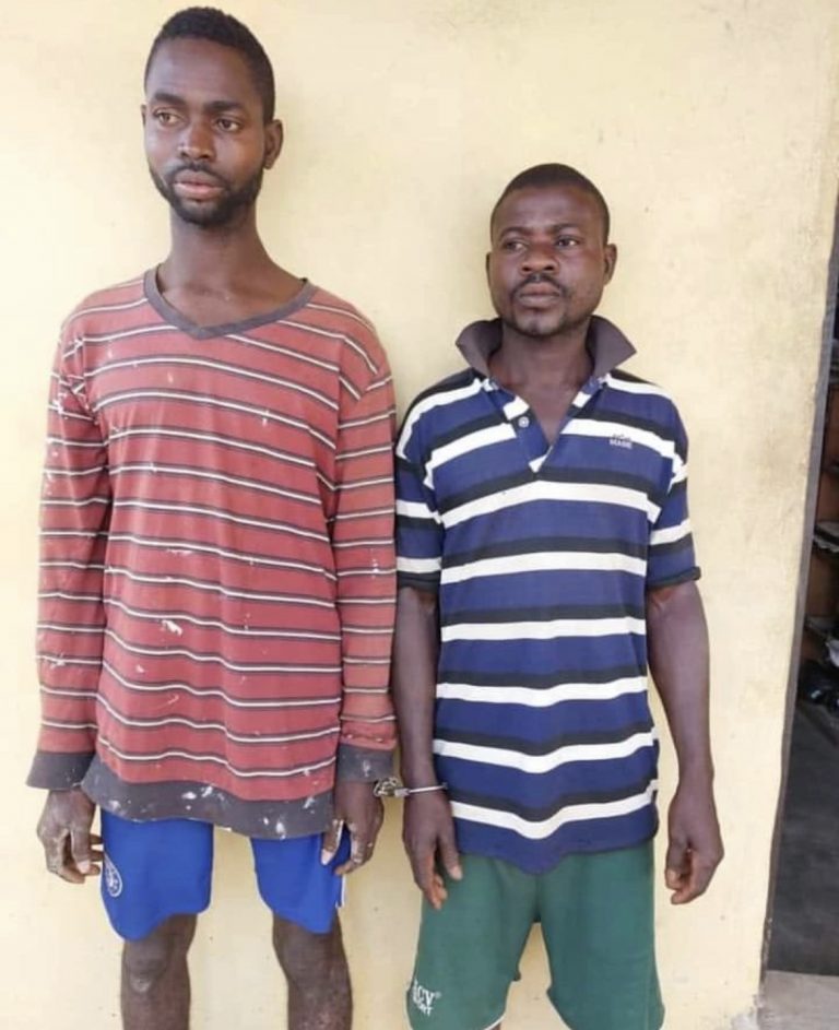 Police Arrests 2 Brothers Over Kidnapping For Ritual In Ogun | MarvelTvUpdates