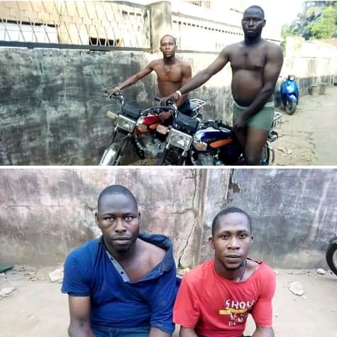 2 Brothers Arrested For Motorcycle Theft In Delta | MarvelTvUpdates