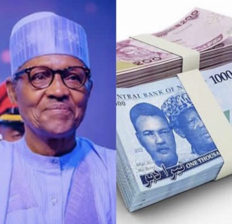 New Naira Notes Introduction Meant To Curb Illicit Hoarding Not For Common Man – President Buhari Says | MarvelTvUpdates