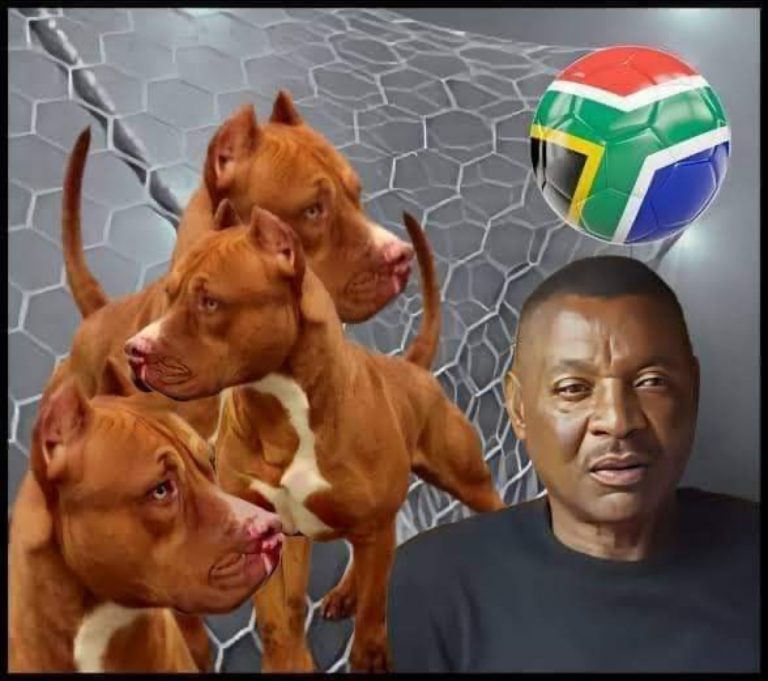 TRAGIC: Former Zambia Footballer, Philemon Mulala Killed By His Own Dogs (VIDEO) | MarvelTvUpdates