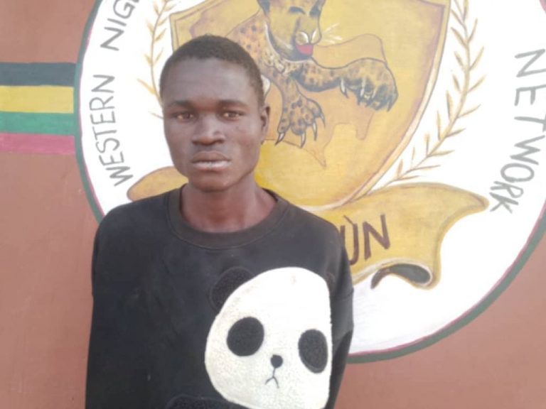 Police Arrests Suspected Notorious Kidnapper In Osun | MarvelTvUpdates