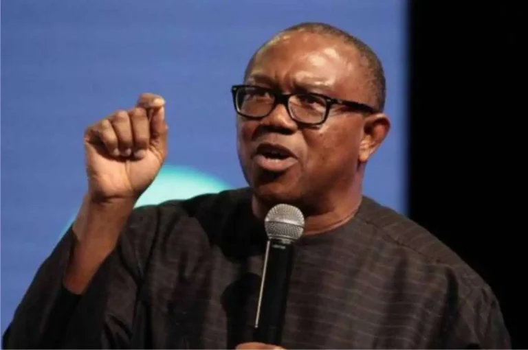 Tax Reform Is Critical, There’s Nothing Wrong With Pursuing It, Peter Obi Says | MarvelTvUpdates