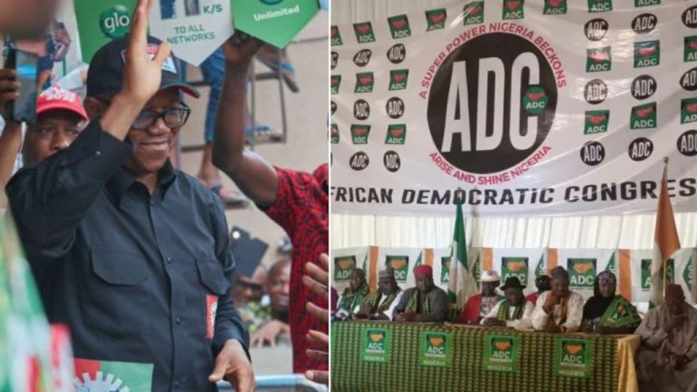 2023 Elections: ADC Endorses Peter Obi For Presidency | MarvelTvUpdates