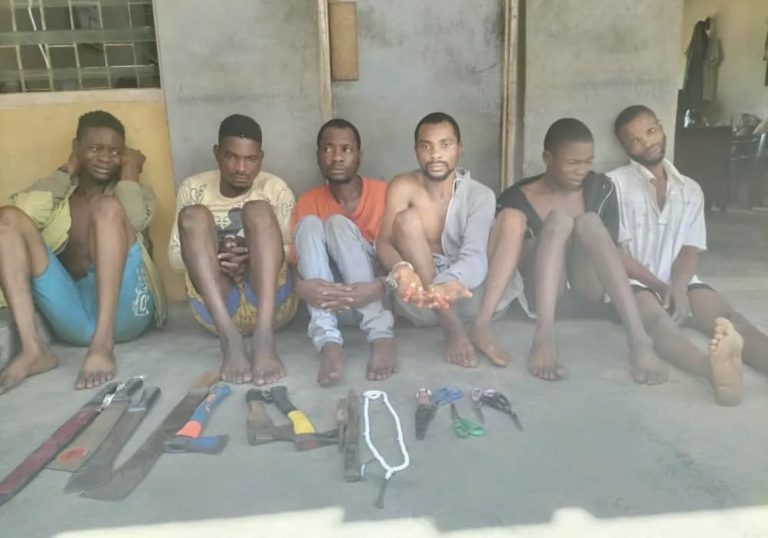 So-Safe Corps Arrests 6 Notorious Cult Members Terrorizing Abeokuta, Recovers Ammunitions | MarvelTvUpdates