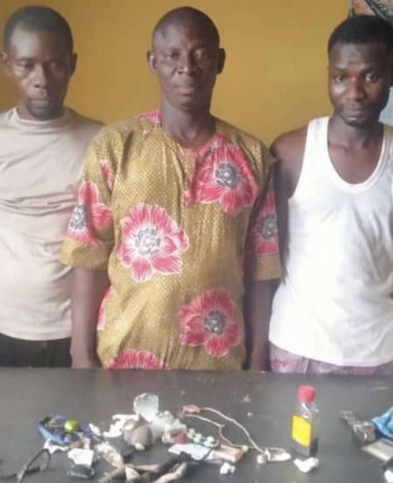 Police Arrest 3 Suspected Land Grabbers In Ogun | MarvelTvUpdates