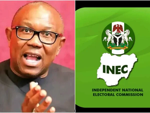 Presidential Election: Peter Obi Accuses INEC Of Being Biased | MarvelTvUpdates