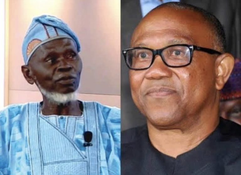 Peter Obi’s Request Unconstitutional; Tinubu Must Be sworn in – LP’s Faction Chairman, Lamidi Apapa Says | MarvelTvUpdates