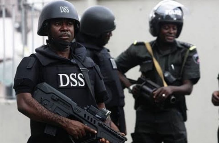 DSS Blows Hot Over Plot To Disrupt President-Elect, Tinubu’s Inauguration | MarvelTvUpdates