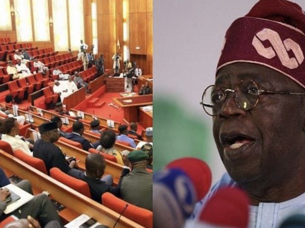 Senate Approve Appointment Of 20 Special Advisers By President Bola Tinubu | MarvelTvUpdates