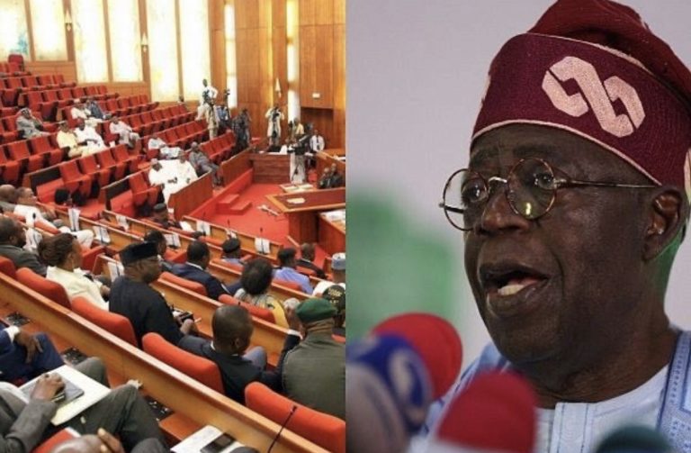 Senate Approve Appointment Of 20 Special Advisers By President Bola Tinubu | MarvelTvUpdates