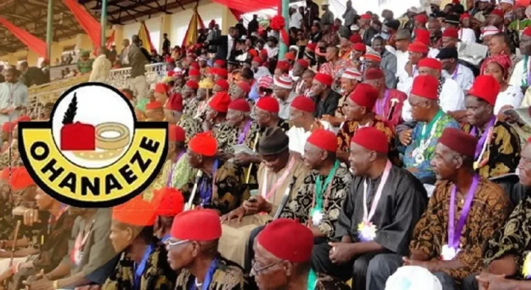 “Southeast Won’t Be Part Of October 1 Protest” – Ohanaeze Ndigbo Declares | MarvelTvUpdates