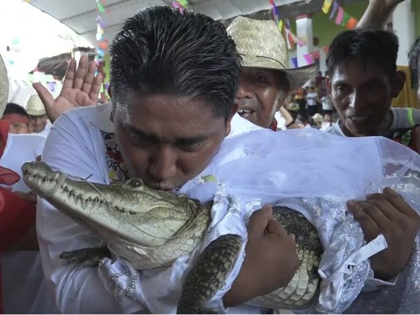 Mexican Mayor, Victor Hugo Sosa Marries An Alligator | MarvelTvUpdates