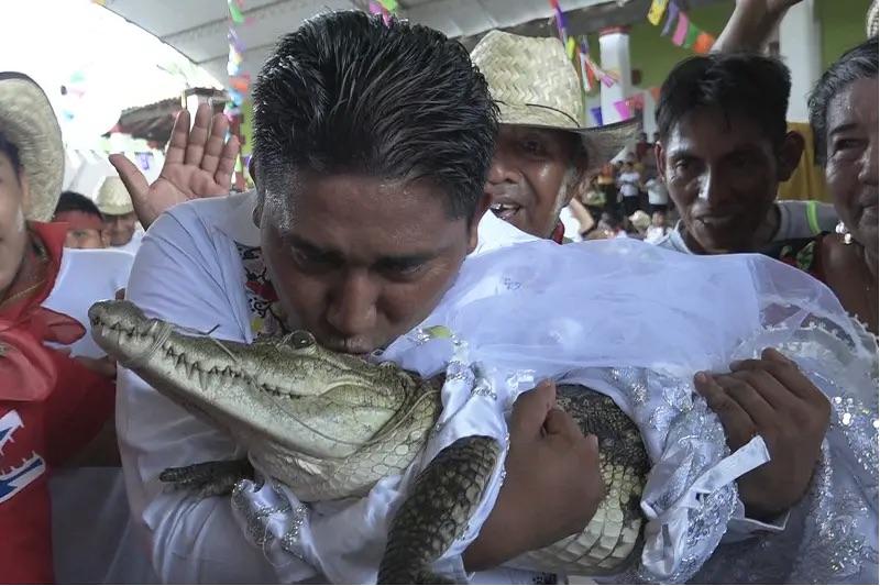 Mexican Mayor, Victor Hugo Sosa Marries An Alligator | MarvelTvUpdates