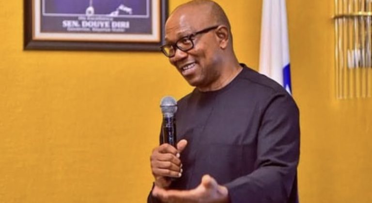 Sit-At-Home Directives Not Issued By IPOB, Security Agencies Must Tackle Criminal Activity – Says Peter Obi | MarvelTvUpdates