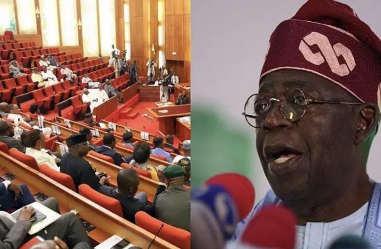 Senate Rejects President Bola Tinubu’s Request To Deploy Troops To Niger | MarvelTvUpdates