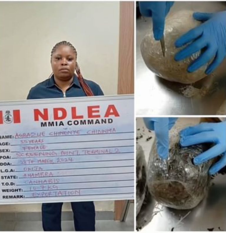 NDLEA Intercepts Qatar-Bound Illicit Drugs Concealed In African Salad And Dried Vegetables In Lagos | MarvelTvUpdates