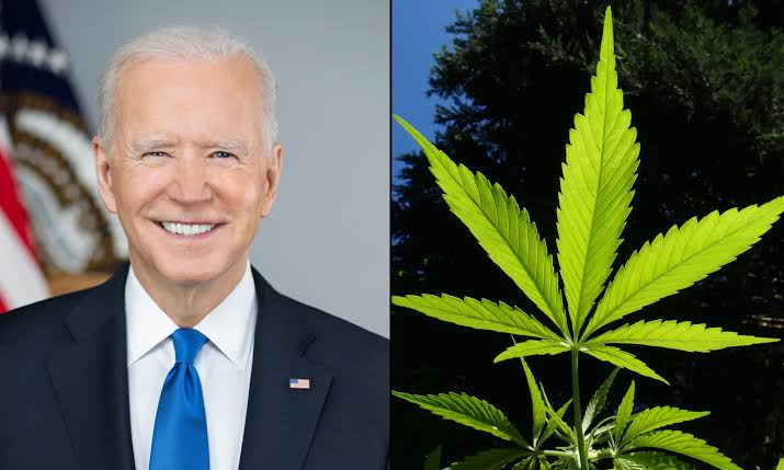 ‘No One Should Be Jailed For Using Or Possessing Marijuana (Weed)’ — US President, Joe Biden Says | MarvelTvUpdates