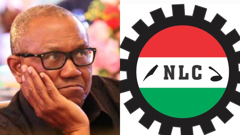 ‘Peter Obi Is Free To Leave Labour Party’ — Says Nigeria Labour Congress | MarvelTvUpdates