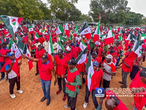 TUC, NLC, Mobilize To Shut DisCOs  NERC Offices Nationwide | MarvelTvUpdates