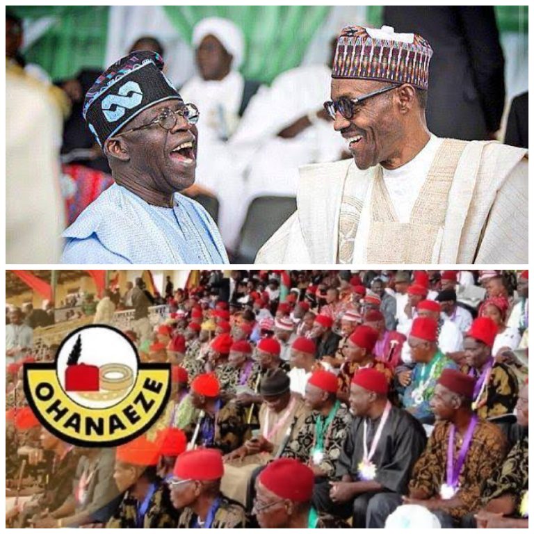 President Bola Tinubu’s First Year In Office Better Than Buhari’s 8 Years — Ohanaeze Ndigbo Says | MarvelTvUpdates