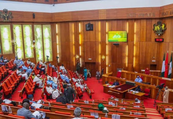 Senate Passes Bill To Allow Foreigners In Nigeria Obtain NIN | MarvelTvUpdates