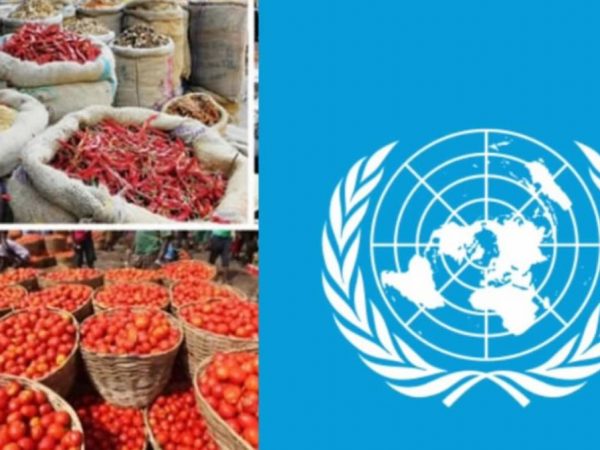 Over 80millions Nigerians May Go Hungry Soon — UN Warns | MarvelTvUpdates