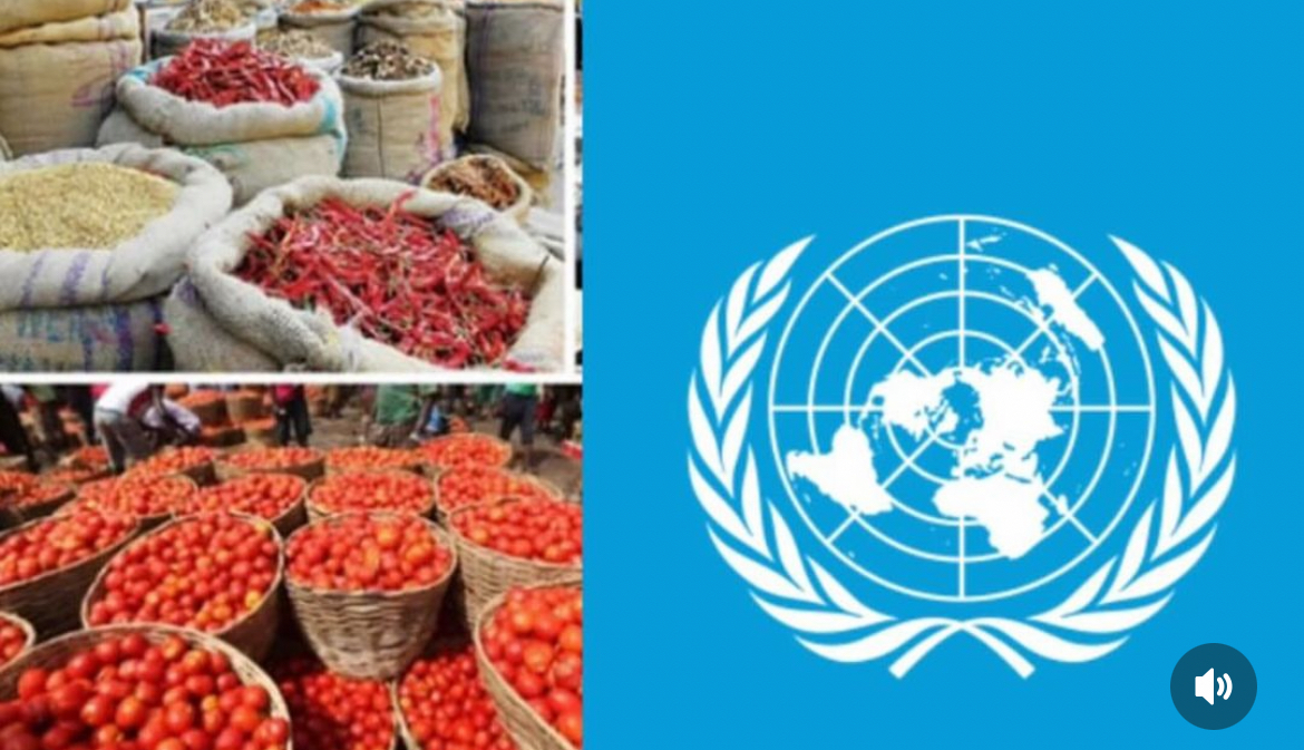 Over 80millions Nigerians May Go Hungry Soon — UN Warns | MarvelTvUpdates